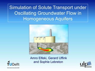 Simulation of Solute Transport under Oscillating Groundwater Flow in ...