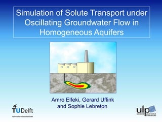Simulation of Solute Transport under
Oscillating Groundwater Flow in
Homogeneous Aquifers
Amro Elfeki, Gerard Uffink
and Sophie Lebreton
 