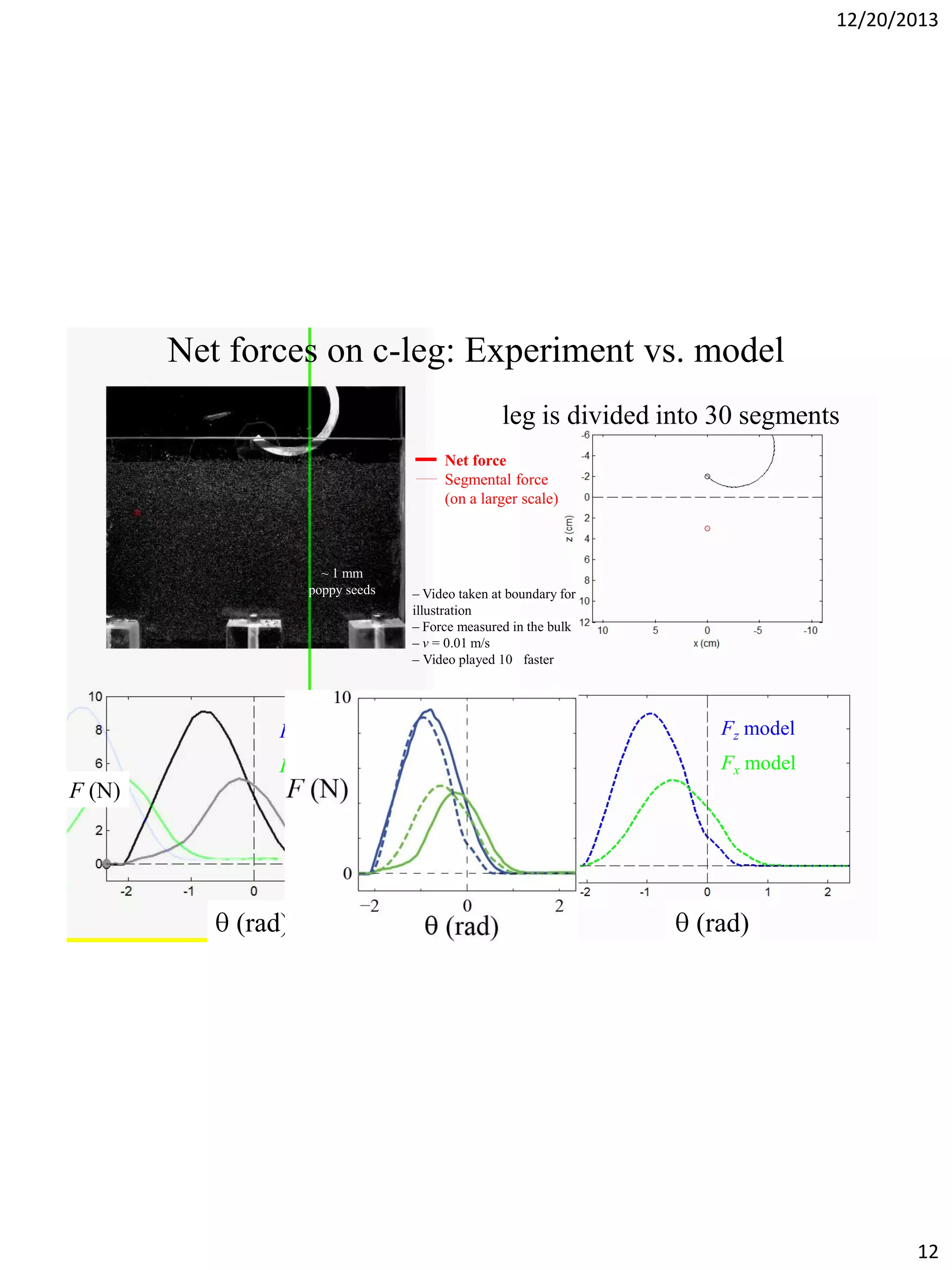 12/20/2013

Net forces on c-leg: Experiment vs. model
leg is divided into 30 segments
Net force
Segmental force
(on a larger scale)

~ 1 mm
poppy seeds

– Video taken at boundary for
illustration
– Force measured in the bulk
– v = 0.01 m/s
– Video played 10 faster

Fz model

Fz experiment

F (N)

Fx experiment

(rad)

F (N)

Fx model

(rad)

12

 