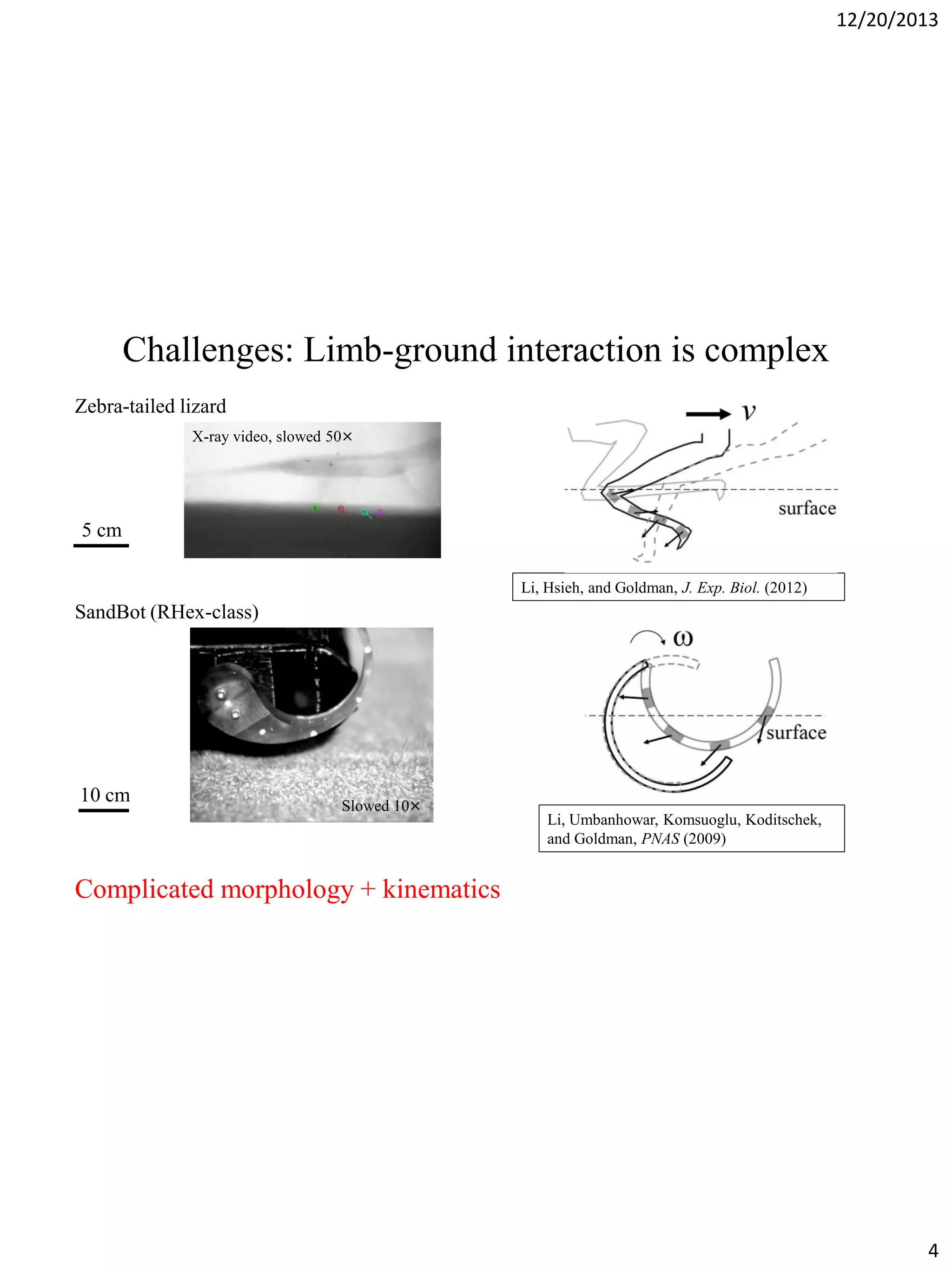 12/20/2013

Challenges: Limb-ground interaction is complex
Zebra-tailed lizard
X-ray video, slowed 50×

5 cm
Li, Hsieh, and Goldman, J. Exp. Biol. (2012)

SandBot (RHex-class)

10 cm

Slowed 10×

Li, Umbanhowar, Komsuoglu, Koditschek,
and Goldman, PNAS (2009)

Complicated morphology + kinematics

4

 