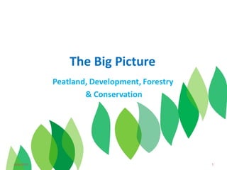 The Big Picture
               Peatland, Development, Forestry
                       & Conservation




27 June 2012                  1
June 2012                                        1
 