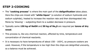 Paper and Pulp Indutry.pptx