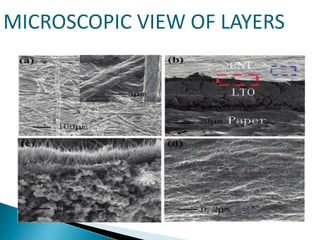MICROSCOPIC VIEW OF LAYERS

 