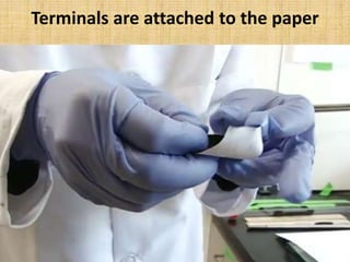 Terminals are attached to the paper
 