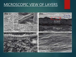 MICROSCOPIC VIEW OF LAYERS
 