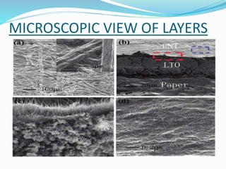 MICROSCOPIC VIEW OF LAYERS
 