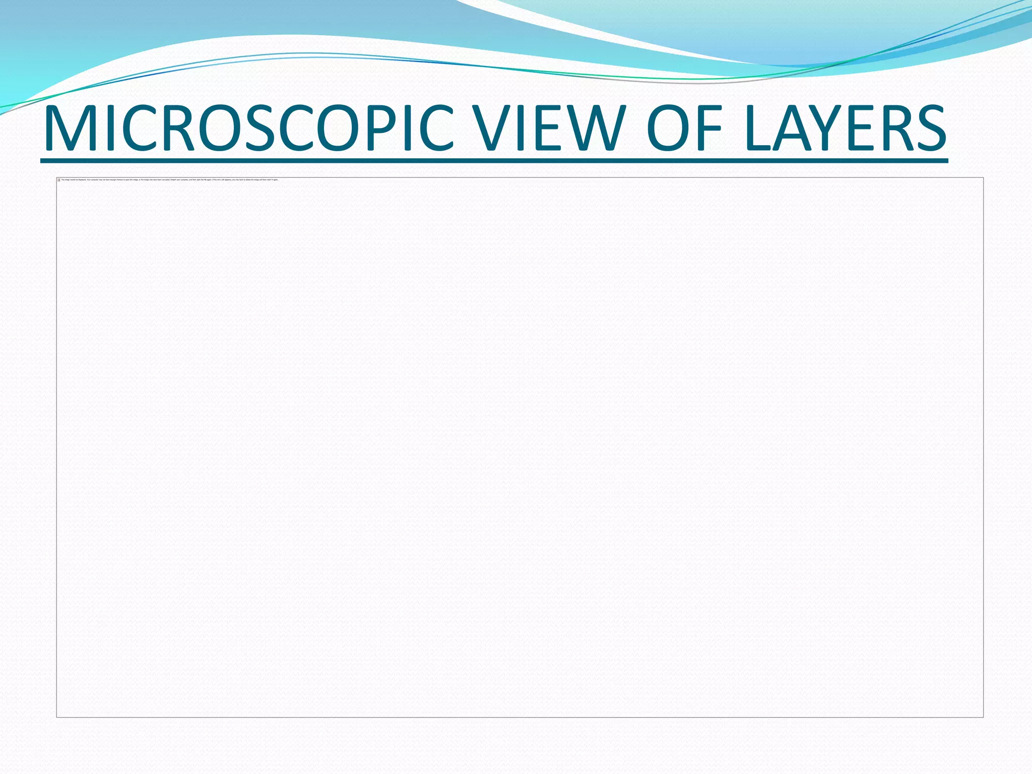 MICROSCOPIC VIEW OF LAYERS
 