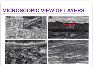 MICROSCOPIC VIEW OF LAYERS
 
