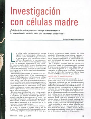 Paper celulas madre