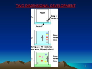 TWO DIMENSIONAL DEVELOPMENT




                              21
 