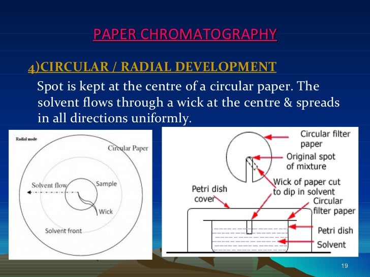 Paper Chromatography PPT (new)