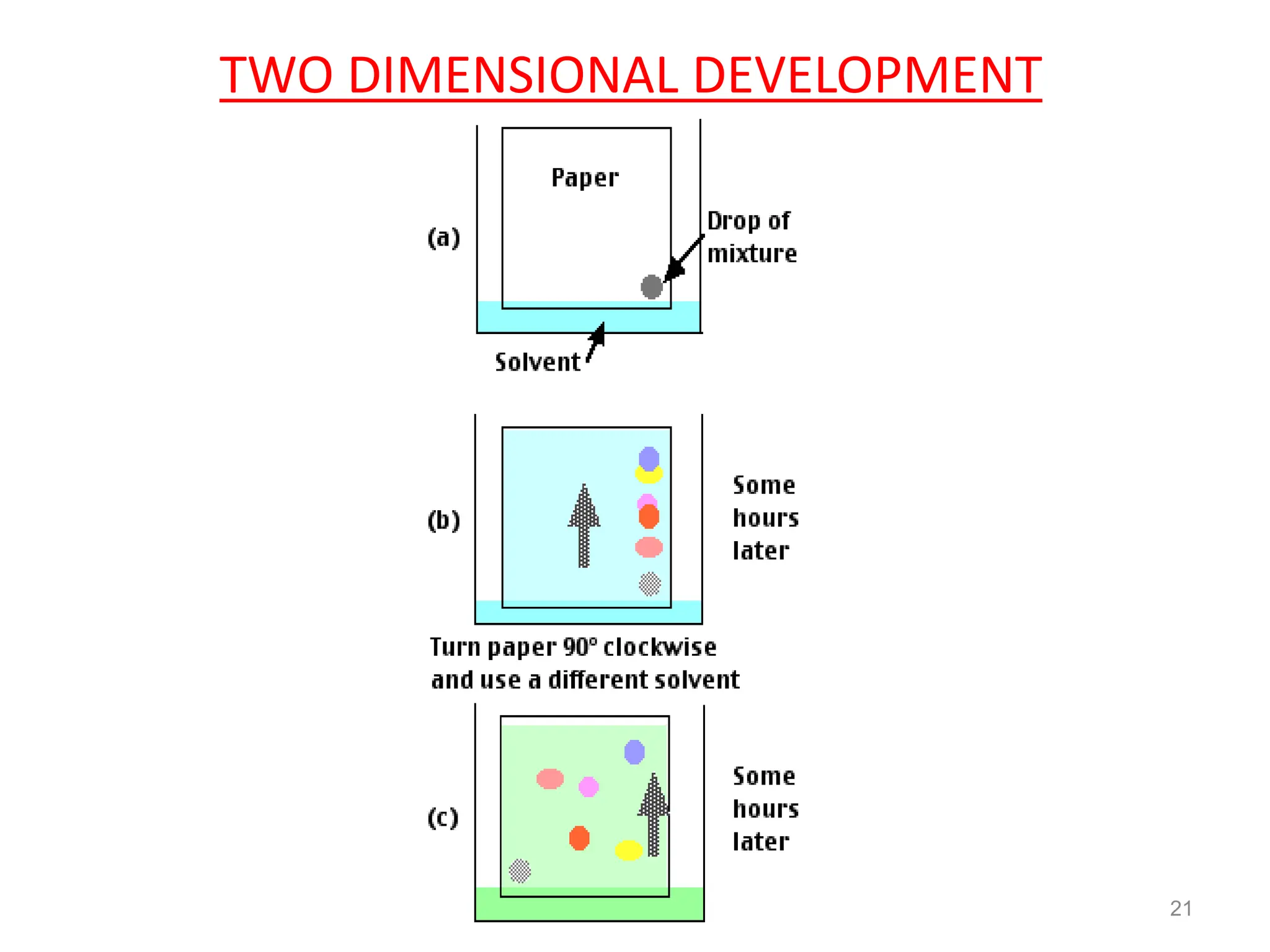 TWO DIMENSIONAL DEVELOPMENT
21
 