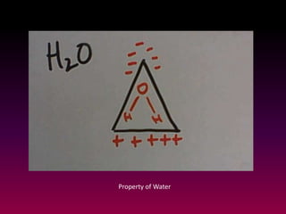 Property of Water
 