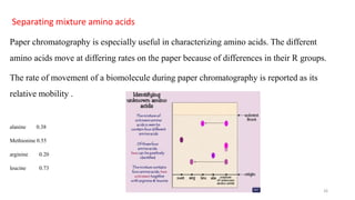 Separating mixture amino acids
Paper chromatography is especially useful in characterizing amino acids. The different
amino acids move at differing rates on the paper because of differences in their R groups.
The rate of movement of a biomolecule during paper chromatography is reported as its
relative mobility .
alanine 0.38
Methionine 0.55
arginine 0.20
leucine 0.73
26
 