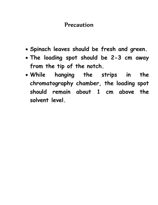Paper chromatography of spinach leaf
