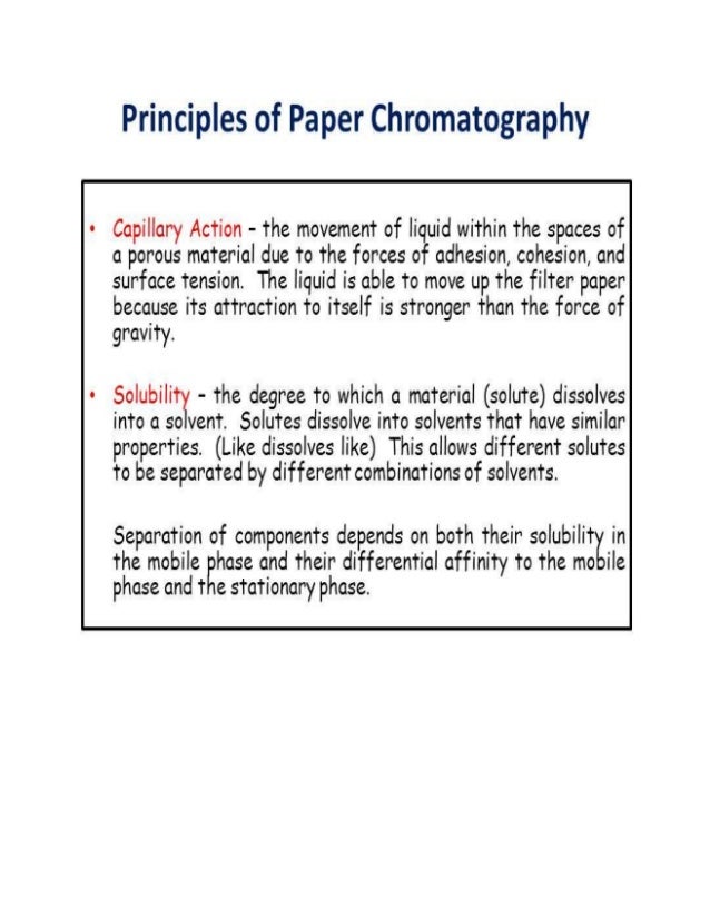Paper chromatography of spinach leaf