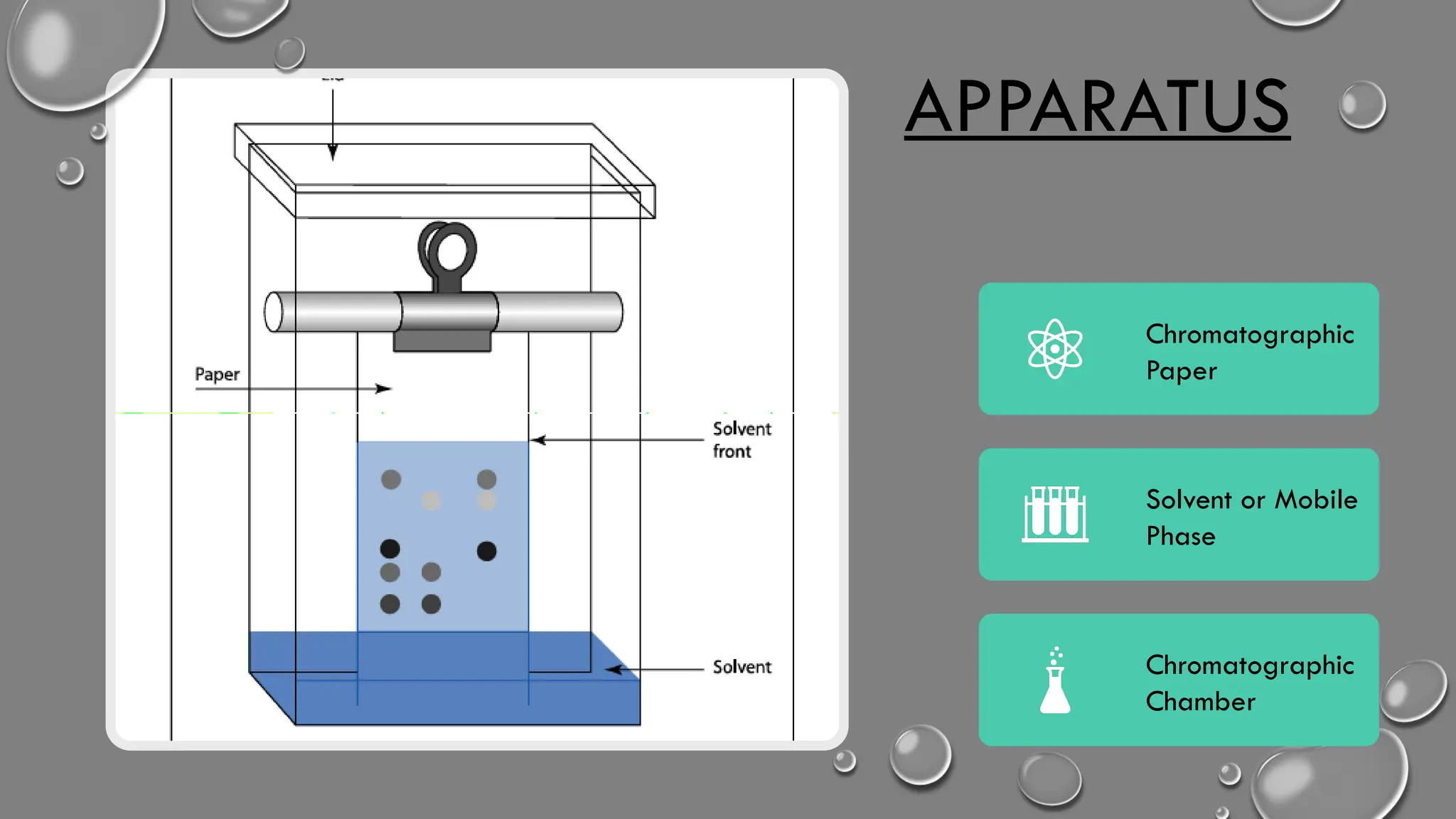 APPARATUS
Chromatographic
Paper
Solvent or Mobile
Phase
Chromatographic
Chamber
 