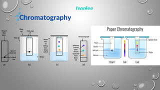 Paper chromatography separation technique.pptx