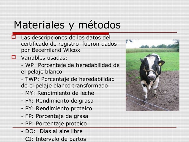 case study exercise #1 holstein coat color