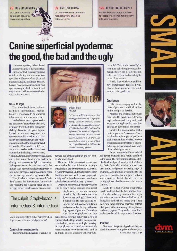 Superficiality in the great gatsby quotes image