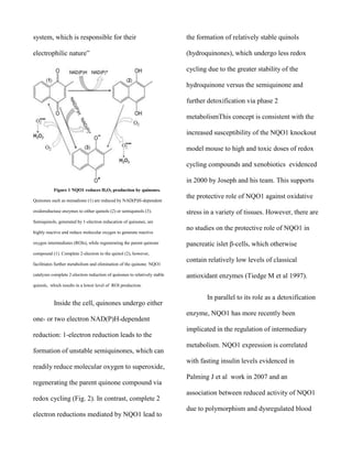 system, which is responsible for their

the formation of relatively stable quinols

electrophilic nature”

(hydroquinones), which undergo less redox
cycling due to the greater stability of the
hydroquinone versus the semiquinone and
further detoxification via phase 2
metabolismThis concept is consistent with the
increased susceptibility of the NQO1 knockout
model mouse to high and toxic doses of redox
cycling compounds and xenobiotics evidenced
in 2000 by Joseph and his team. This supports

Figure 1 NQO1 reduces H2O2 production by quinones.
Quinones such as menadione (1) are reduced by NAD(P)H-dependent
oxidoreductase enzymes to either quinols (2) or semiquinols (3).

the protective role of NQO1 against oxidative
stress in a variety of tissues. However, there are

Semiquinols, generated by 1-electron reducation of quinones, are
highly reactive and reduce molecular oxygen to generate reactive
oxygen intermediates (ROIs), while regenerating the parent quinone

no studies on the protective role of NQO1 in
pancreatic islet β-cells, which otherwise

compound (1). Complete 2-electron to the quinol (2), however,
facilitiates further metabolism and elimination of the quinone. NQO1
catalyzes complete 2-electron reduction of quinones to relatively stable

contain relatively low levels of classical
antioxidant enzymes (Tiedge M et al 1997).

quinols, which results in a lower level of ROI production.

Inside the cell, quinones undergo either
one- or two electron NAD(P)H-dependent
reduction: 1-electron reduction leads to the
formation of unstable semiquinones, which can
readily reduce molecular oxygen to superoxide,
regenerating the parent quinone compound via
redox cycling (Fig. 2). In contrast, complete 2
electron reductions mediated by NQO1 lead to

In parallel to its role as a detoxification
enzyme, NQO1 has more recently been
implicated in the regulation of intermediary
metabolism. NQO1 expression is correlated
with fasting insulin levels evidenced in
Palming J et al work in 2007 and an
association between reduced activity of NQO1
due to polymorphism and dysregulated blood

 
