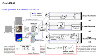 Grad-CAM
CAM을 gradients를 활용 General 분야에 적용 가능
 