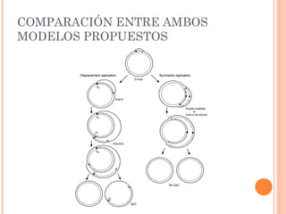 COMPARACIÓN ENTRE AMBOS
MODELOS PROPUESTOS
 