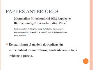 PAPERS ANTERIORES




   Re-examinan el modelo de replicación
    mitocondrial en mamíferos, contradiciendo toda
    evidencia previa.
 