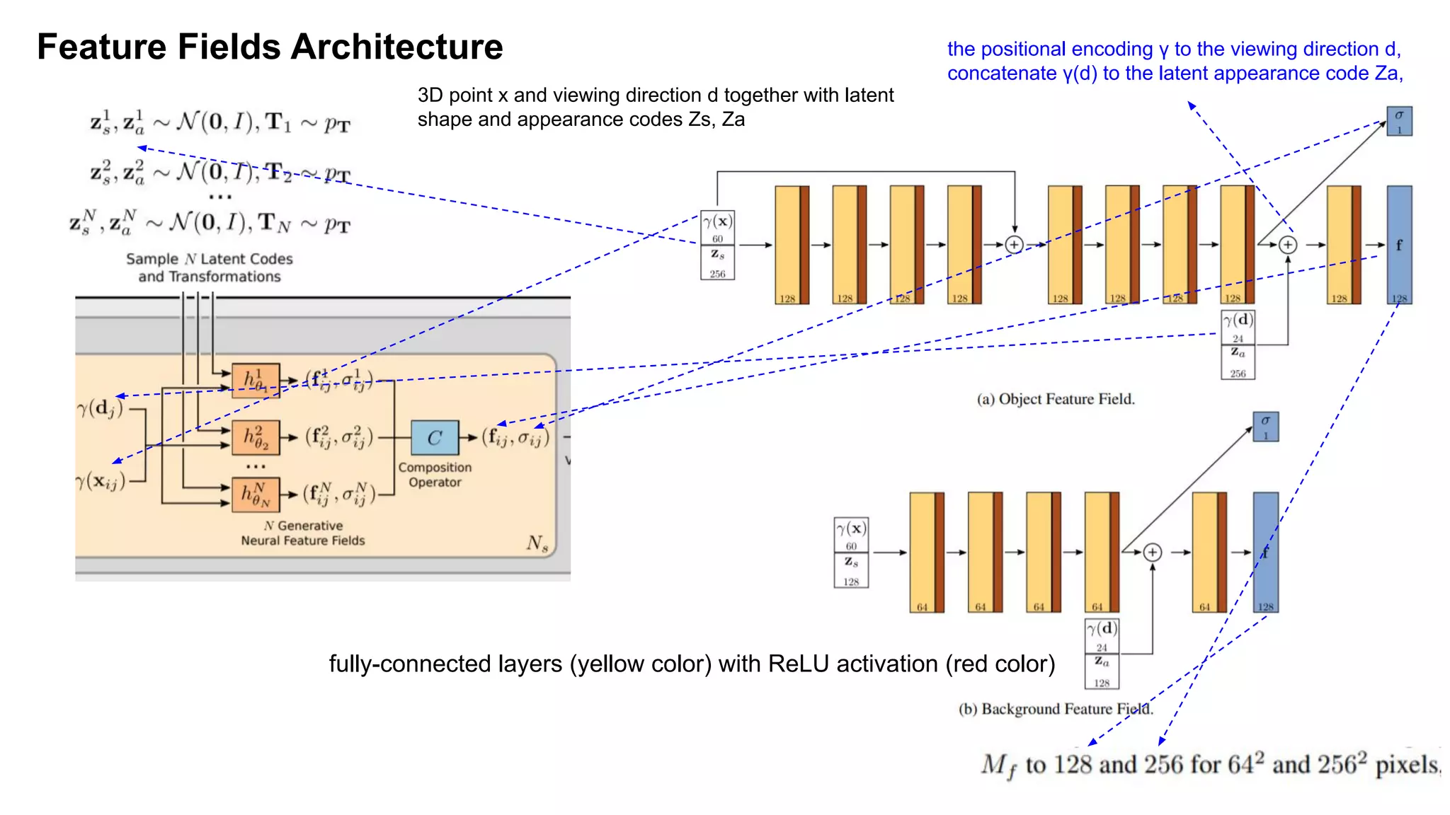 Feature Fields Architecture the positional encoding γ to the viewing direction d,
concatenate γ(d) to the latent appearance code Za,
fully-connected layers (yellow color) with ReLU activation (red color)
3D point x and viewing direction d together with latent
shape and appearance codes Zs, Za
 