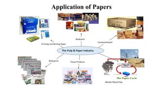 Containerboard
The Pulp & Paper Industry
Printing and Writing Paper
Newsprint Tissue Products
Boxboard
Market Wood Pulp
Application of Papers
 
