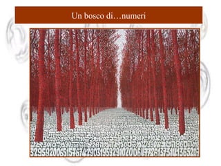Un bosco di…numeri

 