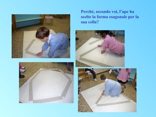 Perché, secondo voi, l’ape ha
scelto la forma esagonale per la
sua cella?

 