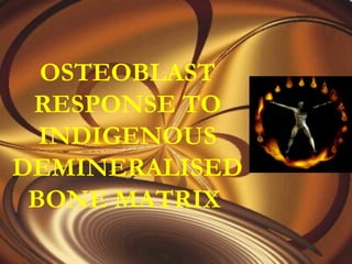 OSTEOBLAST
 RESPONSE TO
  INDIGENOUS
DEMINERALISED
 BONE MATRIX
 