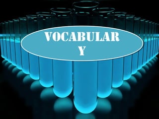vocabular
vocabular
    y
    y
 