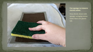 Press firmly down with
sponge, wringing excess
water back into plastic
tub.
Use sponge to remove
excess water.
 