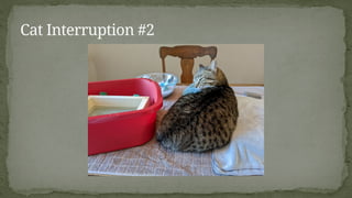 Cat Interruption #2
 