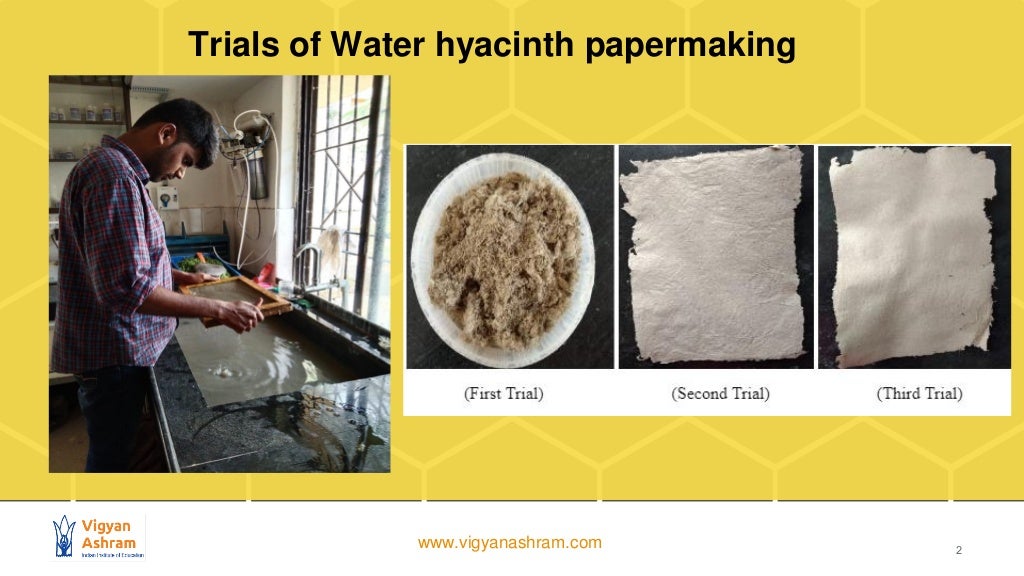 Paper making from Water Hyacinth