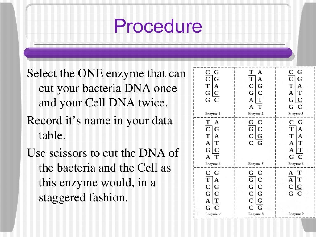 Paper plasmid lab