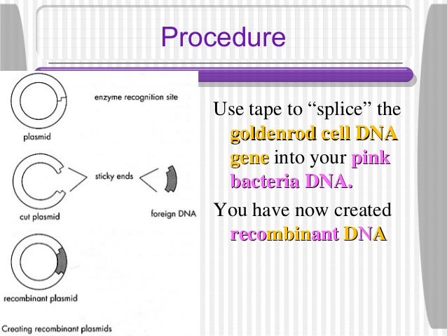 Plasmid author guidelines image
