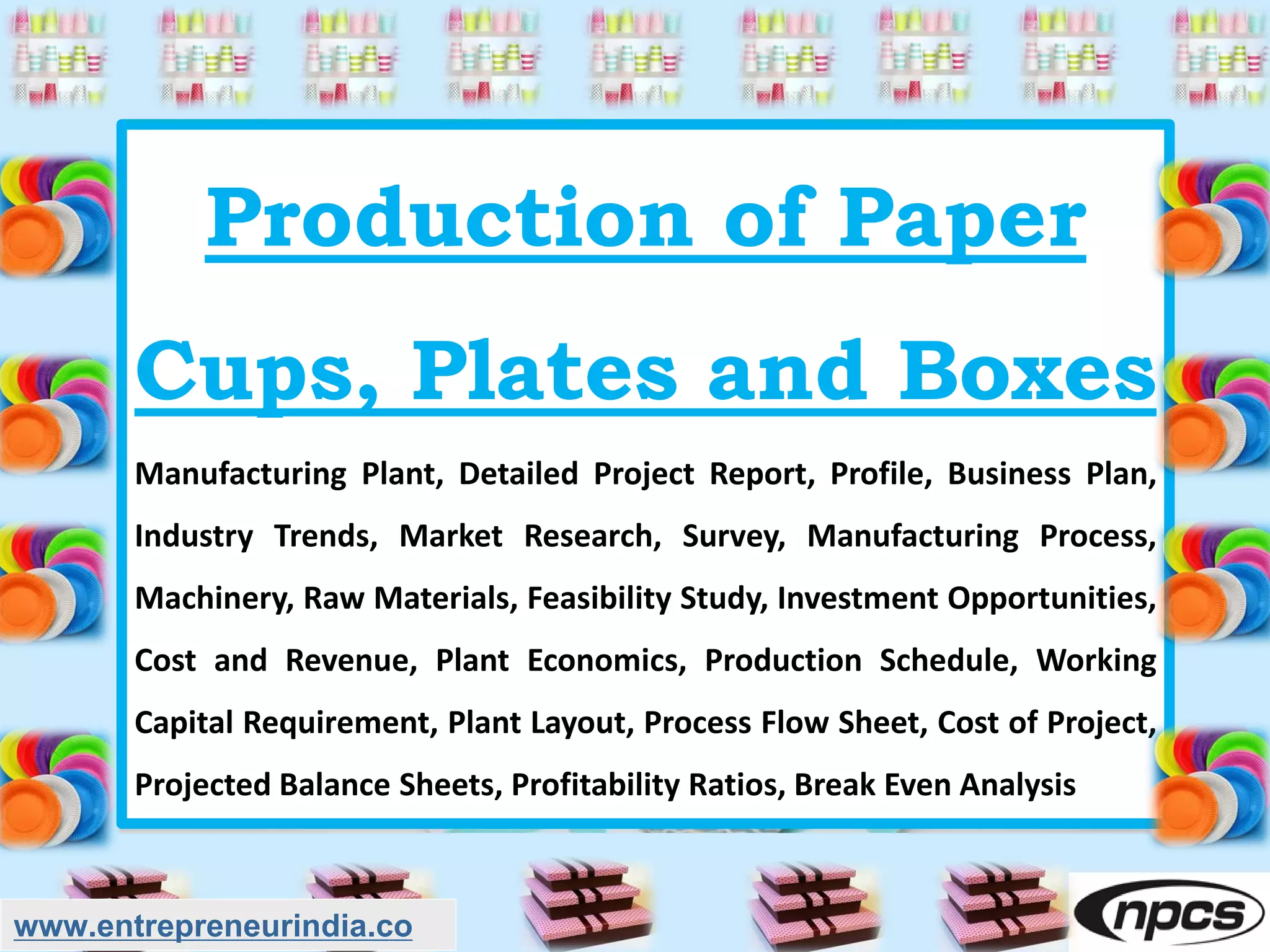 paper plates project report.pdf
