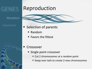 Reproduction


 Selection of parents
   Random
   Favors the fittest


 Crossover
   Single point crossover
      Cut 2 chromosomes at a random point
      Swap over tails to create 2 new chromosomes
 