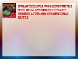 Human umbilical cord mesenchymal 
stem cells attenuate cisplatin-induced 
acute and chronic renal 
injury 
 