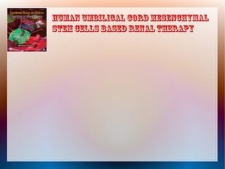 Human umbilical cord mesenchymal 
stem cells based renal therapy 
 