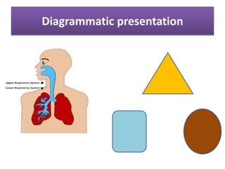 Diagrammatic presentation
 