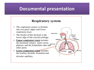 Documental presentation
 