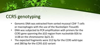 CCR5 genotyping
• Genomic DNA was extracted from sorted mucosal CD4+ T cells
or macrophages with the use of the NucleoSpin TissueXS
• DNA was subjected to PCR amplification with primers for the
CCR5 gene spanning the ∆32-region from nucleotide 826 to
1138 on the chromosome 3p21.31
• The expected fragments were 312 bp for the CCR5 wild-type
and 280 bp for the CCR5 ∆32 variant
 