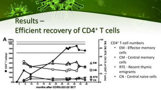 Results –
Efficient recovery of CD4+ T cells
CD4+ T-cell numbers
• EM - Effector memory
cells
• CM - Central memory
cells
• RTE - Recent thymic
emigrants
• CN - Central naive cells
 