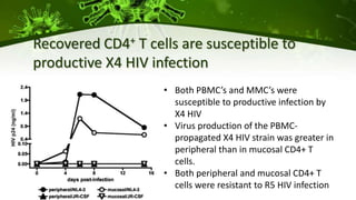 Recovered CD4+ T cells are susceptible to
productive X4 HIV infection
• Both PBMC’s and MMC’s were
susceptible to productive infection by
X4 HIV
• Virus production of the PBMC-
propagated X4 HIV strain was greater in
peripheral than in mucosal CD4+ T
cells.
• Both peripheral and mucosal CD4+ T
cells were resistant to R5 HIV infection
 