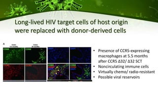 • Presence of CCR5-expressing
macrophages at 5.5 months
after CCR5 ∆32/ ∆32 SCT
• Noncirculating immune cells
• Virtually chemo/ radio-resistant
• Possible viral reservoirs
Long-lived HIV target cells of host origin
were replaced with donor-derived cells
 