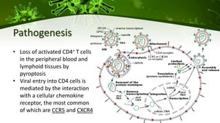 Pathogenesis
• Loss of activated CD4+ T cells
in the peripheral blood and
lymphoid tissues by
pyroptosis
• Viral entry into CD4 cells is
mediated by the interaction
with a cellular chemokine
receptor, the most common
of which are CCR5 and CXCR4
 